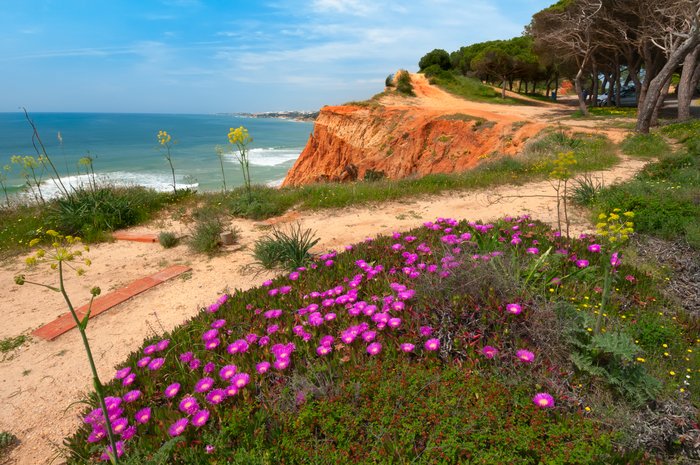 Beach paths along the Algarve's southern coast