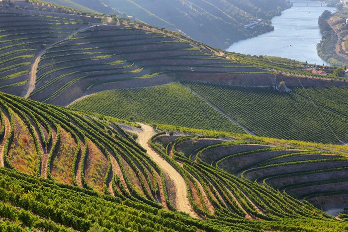 Winding road through the Douro Valley